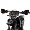 Regulmoto Sport 003 PRO 300 6 передач, 2026 г.