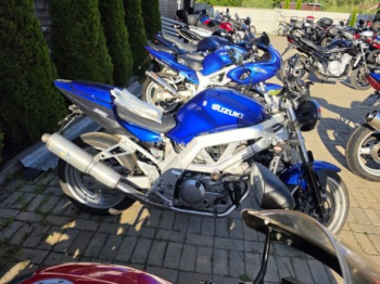 Suzuki SV, 2003 г.