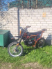 Racer TRX, 2024 г.