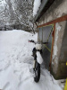 Progasi SUPER MAX 300 PRO, 2024 г.