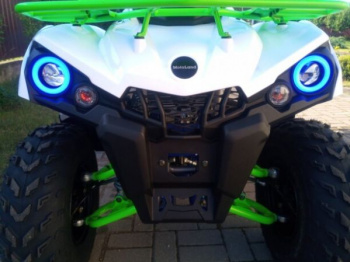 Motoland Shark 200 Sport, 2026 г.