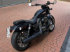 Harley-Davidson Nightster, 2024 г.