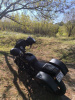 Harley-Davidson Street Rod XG750, 2020 г.