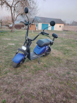 Smart Balance Mini Sport, 2024 г.