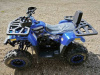 Motoland Wild Track 200 LUX, 2025 г.