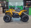 Motoland Wild Track 200 X, 2026 г.