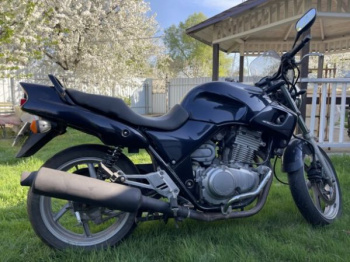 Honda CB, 1993 г.