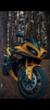 Yamaha YZF R1, 2009 г.