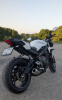Triumph Street Triple S, 2020 г.