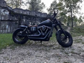 Harley-Davidson Dyna Street Bob custom, 2014 г.