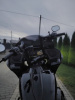 Harley-Davidson Road Glide, 2024 г.