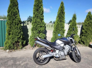 Honda CB 900F Hornet, 2004 г.