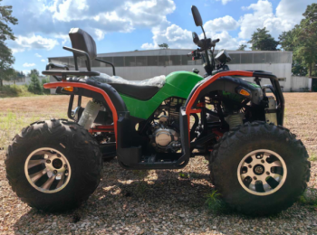 Storm MAX 300 X, 2025 г.