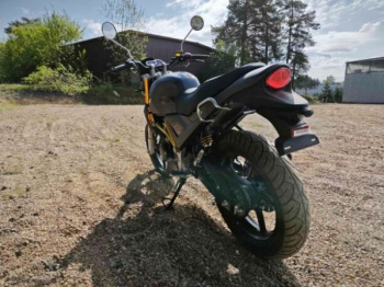 Motoland Scrambler , 2025 г.