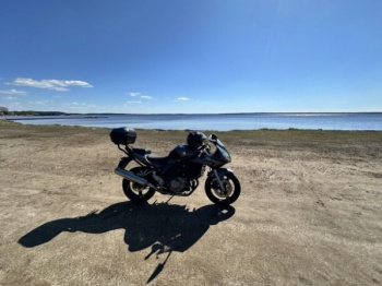 Suzuki SV, 2009 г.