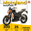 Классик Motoland WASP 300, 2026 г.