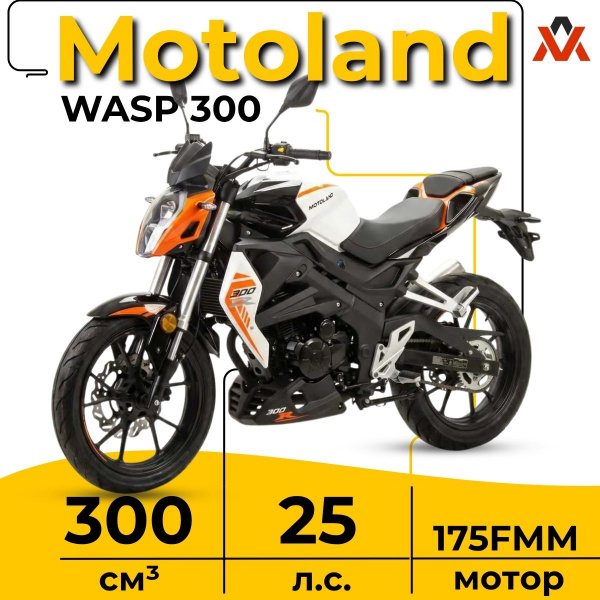 Классик Motoland WASP 300, 2026 г.