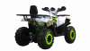 Motoland Wild 200 TRACK LUX, 2024 г.