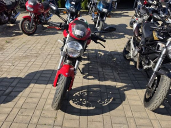Ducati Monster, 2010 г.