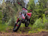 Racer CRF 125, 2026 г.