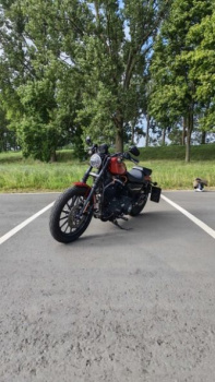 Harley-Davidson Sportster Iron, 2013 г.