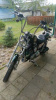 Harley-Davidson Sportster XLC, 2000 г.