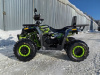 Motoland Wild Track 200 LUX, 2026 г.