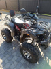 STRIKER 700 EFI BNP Straiker, 2025 г.