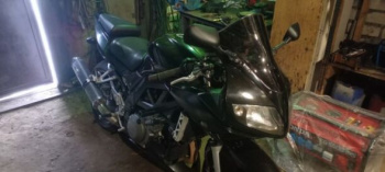 Suzuki SV, 2005 г.