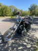Harley-Davidson Sportster XL 1200 V Seventy-Two, 2013 г.