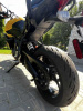 Triumph Tiger, 2025 г.