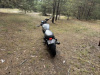 Triumph Bonneville Newchurch, 2015 г.
