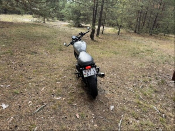 Triumph Bonneville Newchurch, 2015 г.