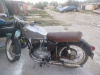 Pannonia P, 1965 г.
