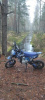 Wels 125, 2024 г.