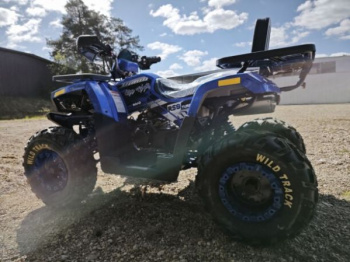 Motoland Wild Track 200 LUX, 2025 г.