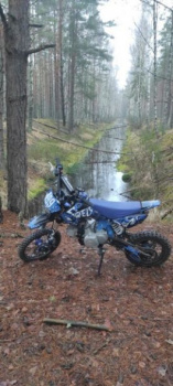 Wels 125, 2024 г.