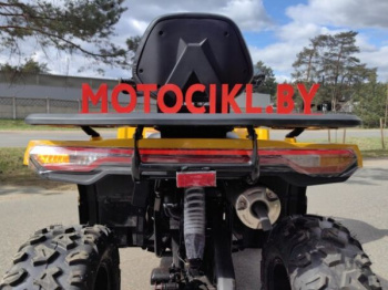Motoland Wild Track X Plus (VOX250), 2025 г.