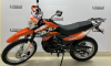 Racer Panther RC300-GY8X, 2024 г.