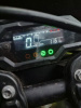Regulmoto CR-X, 2024 г.