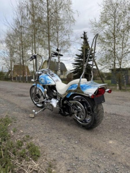 Harley-Davidson Softail Custom, 2008 г.