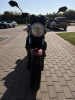 Honda CBF 500 ABS, 2004 г.