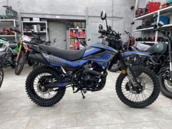 Racer Panther PRO 19 (RC300B-F), 2026 г.