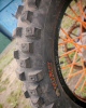 Regulmoto Athlete, 2024 г.