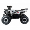 Motoland Rider Storm 125cc, 2023 г.