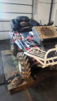 Yamaha Grizzly, 2010 г.