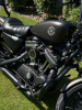 Harley-Davidson Sportster 883N, 2021 г.