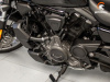 Harley-Davidson Nightster Special, 2023 г.
