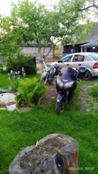 Kawasaki ZX, 2001 г.