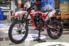 Progasi SUPER MAX 300, 2025 г.